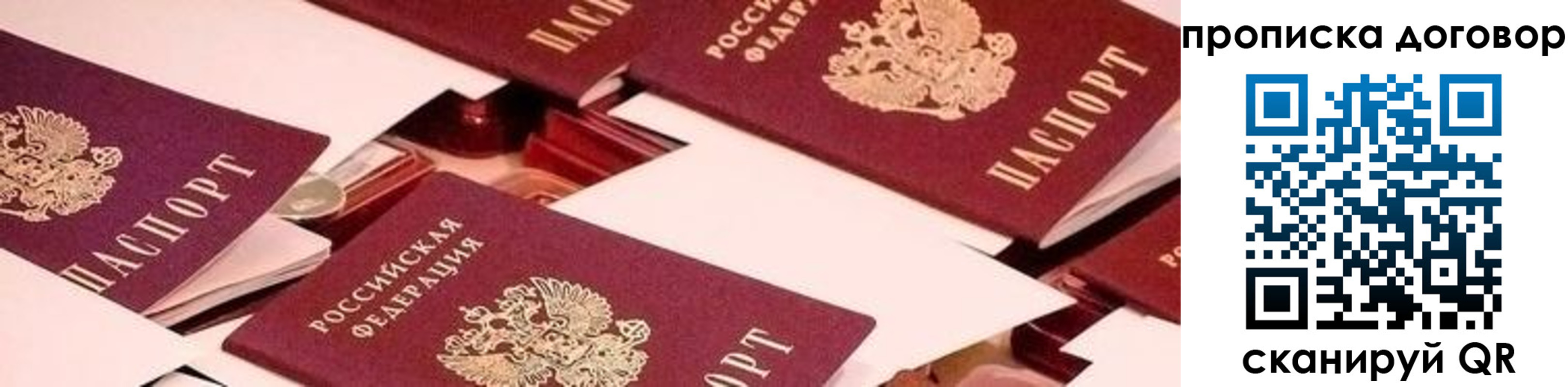 прописка для школы в Данилове